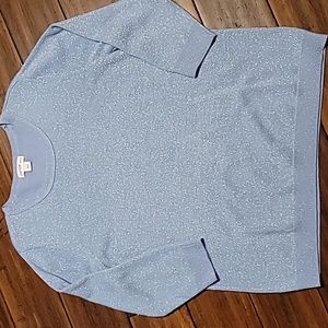 Jaclyn Smith Collection XL light blue mettalic sweater